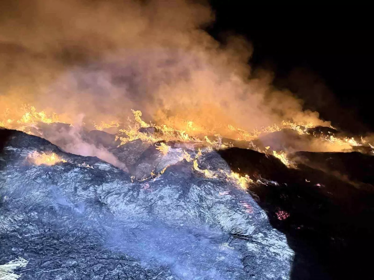 afyonkarahisarda yangin eber golunden toplanan kamislarin depolari alev aldi m7qu7SJt