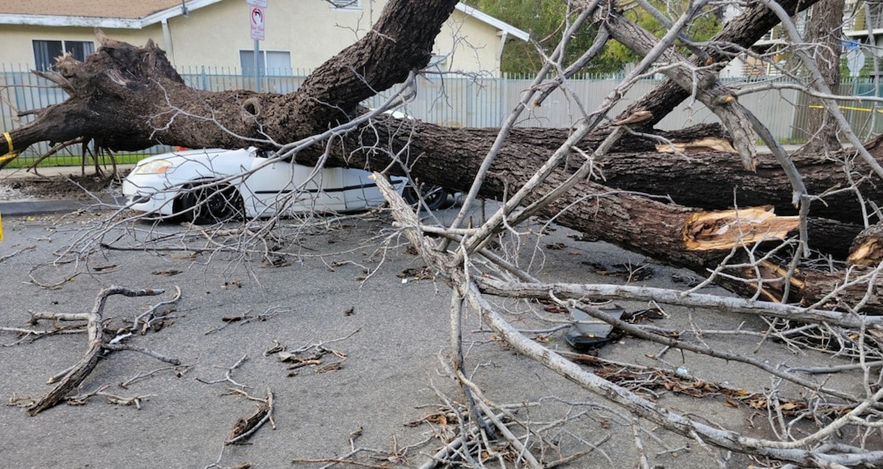 asiri hava olaylari rekor fatura kesti 100 milyar dolari asti 1PEJgb4q.jpg