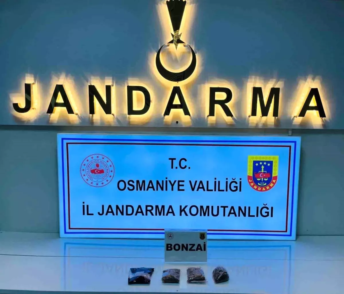 osmaniyede jandarmadan buyuk operasyon 124 supheli gozaltina alindi A2mHmPyL.jpg
