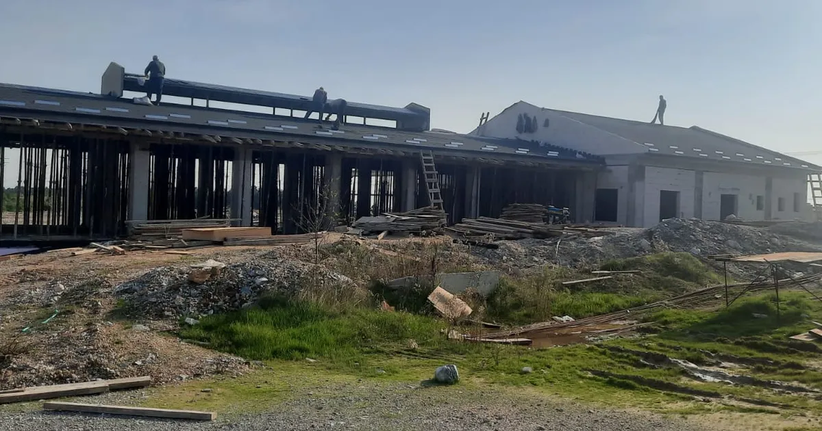 izmitten sokak hayvanlarina modern yasam alani 38JJEgmR.webp