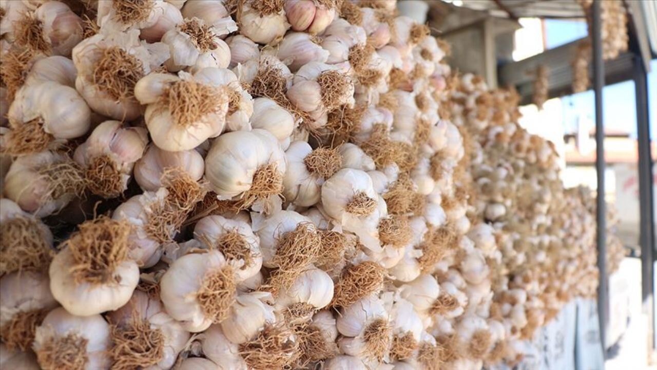 sarimsak yemek icin on neden ve taskopru sarimsaginin essiz yapisi Ymq4gPDJ.webp