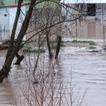Sivas’ta Kızılırmak Nehri Taşarak Sel Felaketi Oluşturdu