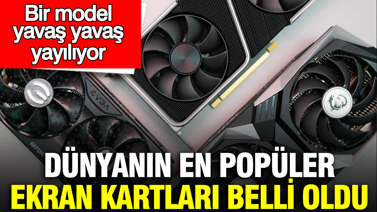 Ekran Kartı Pazarında Son Durum: En Çok Tercih Edilen Modeller