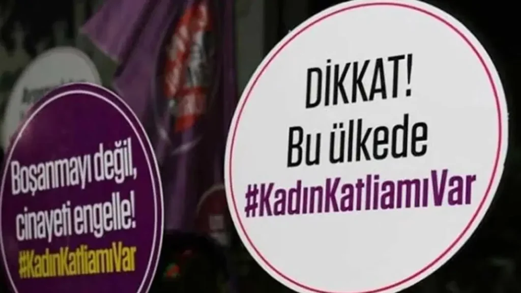 İstanbul’da Kaybolan Kadının Cesedi Kırşehir’de Bulundu: 5 Şüpheli Gözaltında!